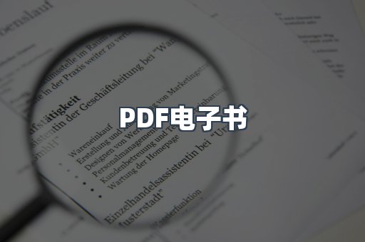 PDF电子书
